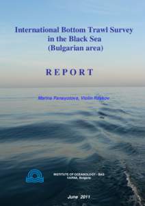 International Bottom Trawl Survey in the Black Sea (Bulgarian area) REPORT Marina Panayotova, Violin Raykov