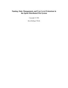 Naming, State Management, and User-Level Extensions in the Sprite Distributed File System Copyright  1990 Brent Ballinger Welch  CHAPTER 1