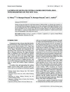 Russian Journal of Herpetology  Vol. 10, No. 1, 2003, pp. 11 – 24