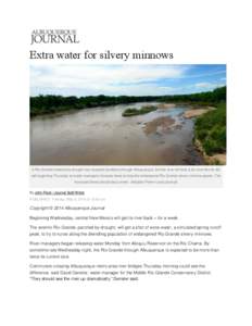 Extra water for silvery minnows  A Rio Grande lowered by drought has exposed sandbars through Albuquerque, but the river will look a bit more like its old self beginning Thursday as water managers increase flows to help 