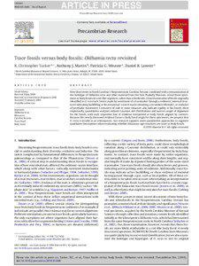 Prehistoric life / Historical geology / Fossils / Incertae sedis / Ediacara biota / Trace fossil / Adolf Seilacher / Aspidella / Ediacaran / Ediacaran biota / Paleontology / Biology