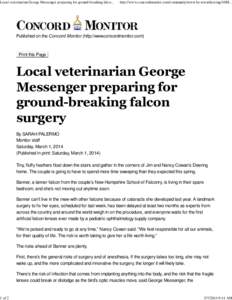 Local veterinarian George Messenger preparing for ground-breaking falcon surgery | Concord Monitor