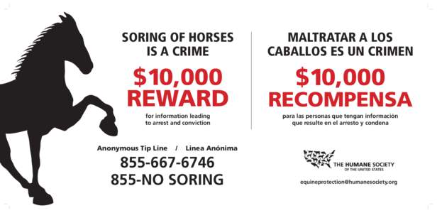 SORING OF HORSES IS A CRIME MALTRATAR A LOS CABALLOS ES UN CRIMEN