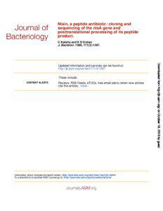 Nisin, a peptide antibiotic: cloning and sequencing of the nisA gene and posttranslational processing of its peptide