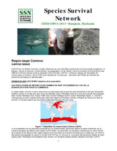 Species Survival Network CITES COP16 2013 • Bangkok, Thaïlande Requin-taupe Commun Lamna nasus