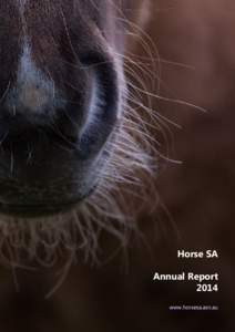 Horse SA  Annual Report[removed]Horse SA