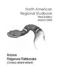 ARIZONA RIDGENOSE RATTLESNAKE