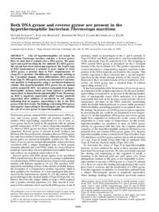 Microbiology / Molecular biology / DNA / Helices / Type II topoisomerase / DNA gyrase / DNA supercoil / Type I topoisomerase / Thermotoga maritima / Biology / Chemistry / DNA replication