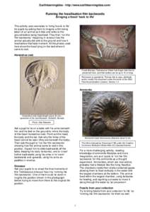 Earthlearningidea - http://www.earthlearningidea.com/  Running the fossilisation film backwards Bringing a fossil ‘back to life’ This activity uses examples to ‘bring fossils to life’ for pupils by asking them to