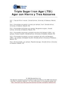 Microsoft Word - triple_sugar_spanish.doc