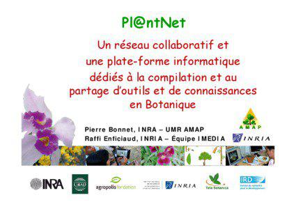 Pl@ntNet Un réseau collaboratif et une plate-forme informatique