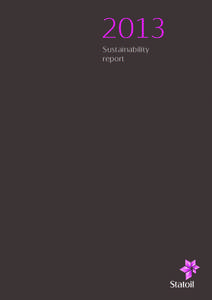 2013 Sustainability report 2013