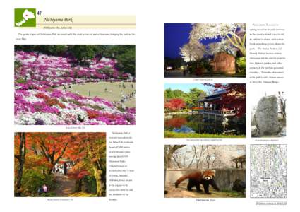 Sabae /  Fukui / Agriculture / Nishiyama / Azalea / Cherry blossom / Japanese garden / Nishiyama-Kōen Station / Flowers / Botany / Landscape architecture