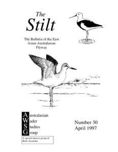 Birds of Western Australia / Calidris / Sandpipers / Erolia / Wading birds / Australasian Wader Studies Group / Clive Minton / Red Knot / Red-necked Stint / Charadriiformes / Birds of Australia / Ornithology