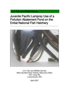 Use of a Hatchery Effluent Pond by Juvenile Pacific Lamprey