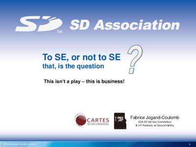 To SE, or not to SE that, is the question This isn’t a play – this is business! Fabrice Jogand-Coulomb SDA GP Ad-Hoc Committee