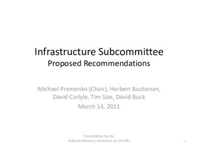 Infrastructure Subcommittee Proposed Recommendations Michael Pramenko (Chair), Herbert Buchanan, David Carlyle, Tim Size, David Buck March 14, 2011