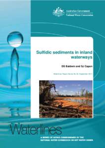 55 Sulfidic Sediments Waterlines Report