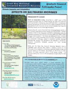 Climate Impacts and Adaptation  EFFEGTS Oil SALTMARSH