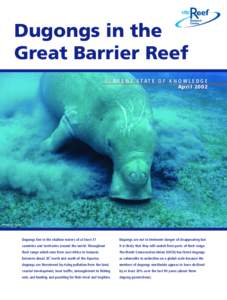 Dugongs in the Great Barrier Reef C U R R E N T S TAT E O F K N O W L E D G E April[removed]Photo: D. Yates