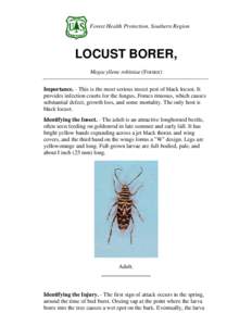 Forest Health Protection, Southern Region  LOCUST BORER, Megacyllene robiniae (Forster) Importance. - This is the most serious insect pest of black locust. It provides infection courts for the fungus, Fomes rimosus, whic