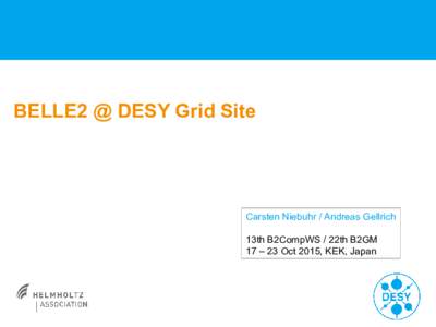 BELLE2 @ DESY Grid Site  Carsten Niebuhr / Andreas Gellrich 13th B2CompWS / 22th B2GM 17 – 23 Oct 2015, KEK, Japan