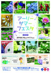 2018Early Summer Festa-A4-omoteOL