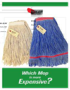 Which Mop  Expensive? is more  Guess Again!