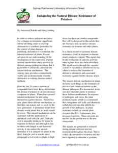 Sydney Postharvest Laboratory Information Sheet.  Enhancing the Natural Disease Resistance of Potatoes  By Anowarul Bokshi and Jenny Jobling