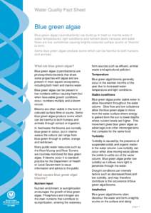 Water Quality Fact Sheet  Blue green algae Blue green algae (cyanobacteria) can build up in fresh or marine water if water temperatures, light conditions and nutrient levels increase and water flows are low, sometimes ca