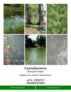 Cyanobacteria (Blue-green Algae) Guidance for Vermont Communities Report title footer