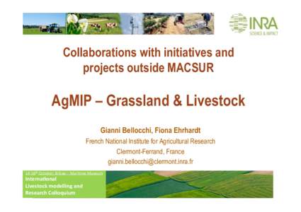 Collaborations with initiatives and projects outside MACSUR AgMIP – Grassland & Livestock Gianni Bellocchi, Fiona Ehrhardt French National Institute for Agricultural Research