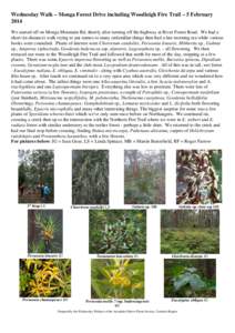 Asterids / Persoonia / Prostanthera / Helichrysum / Gleichenia / Epacris microphylla / Epacris / Goodenia hederacea / Goodenia / Flora of New South Wales / Eudicots / Flora of Australia