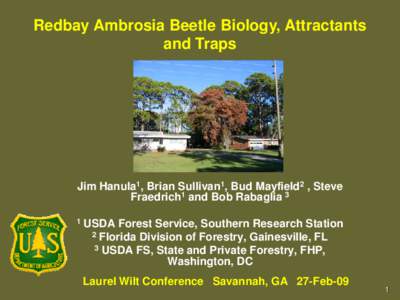 Biology / Laurel wilt / Phyla / Protostome / Xyleborus glabratus / Ambrosia beetle / Beetle / Ragweed / Persea borbonia / Curculionidae / Woodboring beetles / Tree diseases