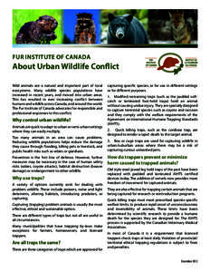 Fur Institute of Canada  About Urban Wildlife Conflict Wild animals are a natural and important part of local ecosystems. Many wildlife species populations have increased in recent years, and moved into urban areas.