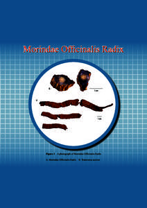 Ethanol / Oxalate / High-performance liquid chromatography / Chemistry / Chromatography / Raphide