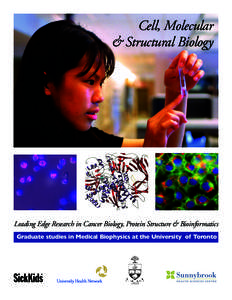 Cell, Molecular & Structural Biology Leading Edge Research in Cancer Biology, Protein Structure & Bioinformatics Graduate studies in Medical Biophysics at the University of Toronto