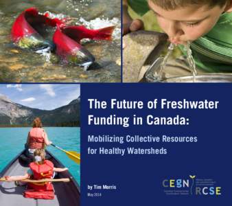 The Future of Freshwater Funding in Canada: Mobilizing Collective Resources for Healthy Watersheds  by Tim Morris