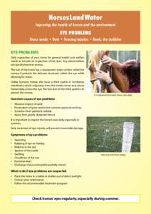 HorsesLandWater Improving the health of horses and the environment EYE PROBLEMS Grass seeds • Dust • Fencing injuries • Rank, dry stubbles EYE PROBLEMS