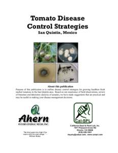 Tomato Disease Control Strategies San Quintin, Mexico About this publication Purpose of this publication is to outline disease control strategies for growing healthier fresh