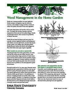 Weed Management in the Home Garden