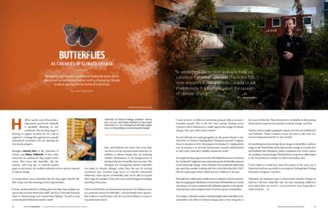 Lepidoptera / Butterflies / Kerr / Lycaena epixanthe / Conservation biology