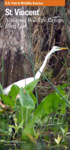 Birds of Glacier National Park