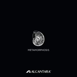 METAMORPHOSIS  figHIPPOCAMPUS METAMORPHOSIS