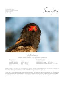 Singita Sabi Sand Ebony & Boulders Lodges Castleton House South Africa  Wildlife Report