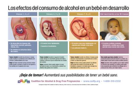 Los efectos del consumo de alcohol en un bebé en desarrollo Meses 1, 2 y 3 Meses 4, 5 y 6  •	 Se desarrollan los órganos más