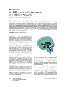 ■ NEUROSCIENCE UPDATE  Sex Differences in the Responses of the Human Amygdala STEPHAN HAMANN Department of Psychology, Emory University, Atlanta, Georgia