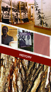 Pocket Guide to South Africa[removed]: History