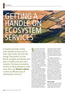 Feature  Getting a handle on ecosystem services