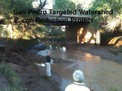 San Pedro Targeted Watershed E. coli Reduction Project Background  The San Pedro River had six exceedances of E. coli